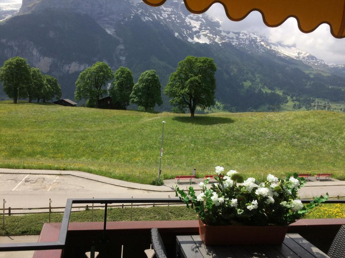 Luxury, New - Amazing Views Grindelwald Eiger Jungfrau Moench Apartment Exterior photo