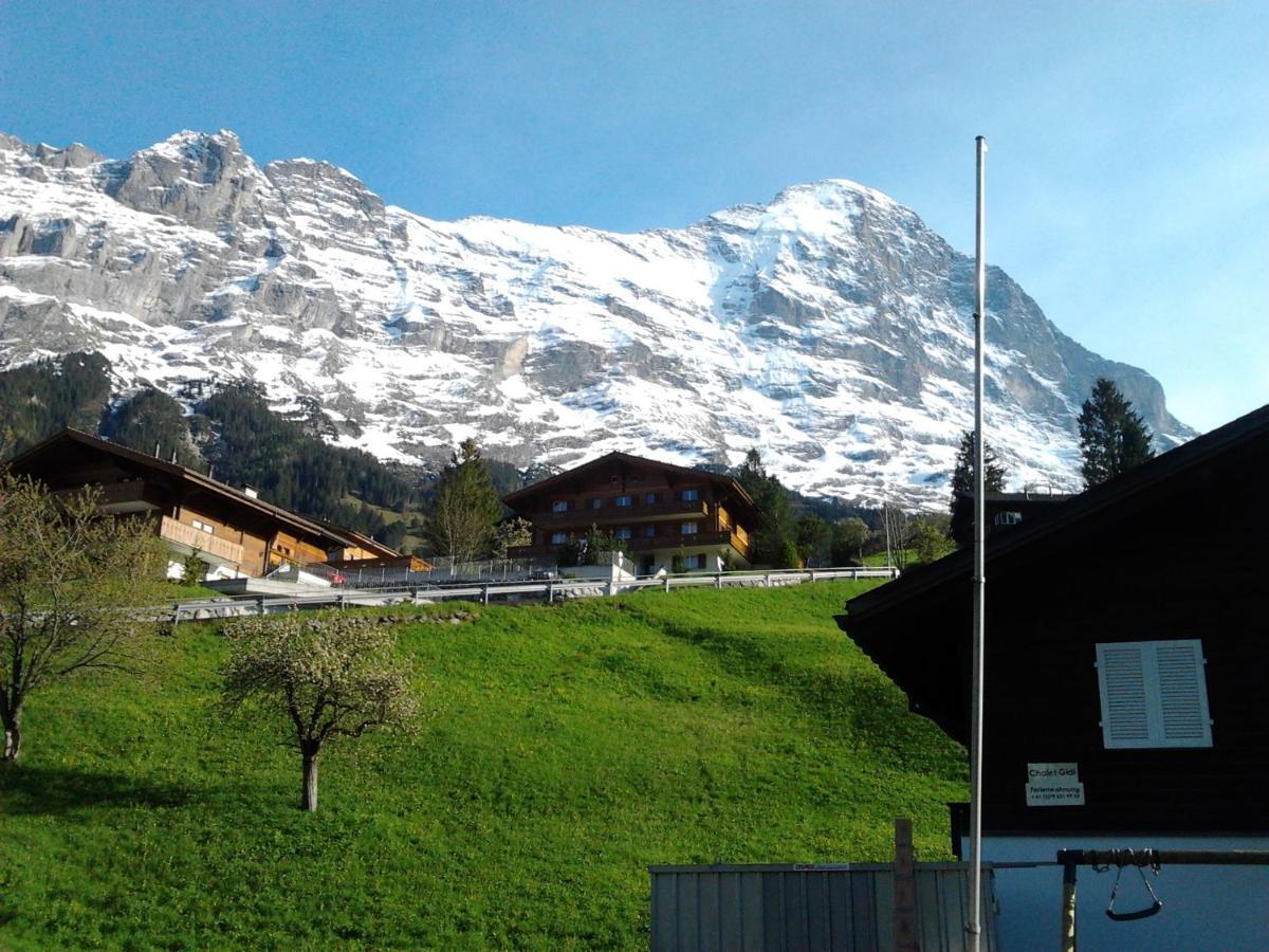 Luxury, New - Amazing Views Grindelwald Eiger Jungfrau Moench Apartment Exterior photo